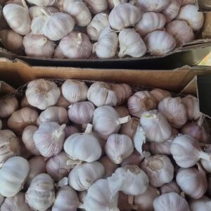 Class 1 Garlic (per kg)