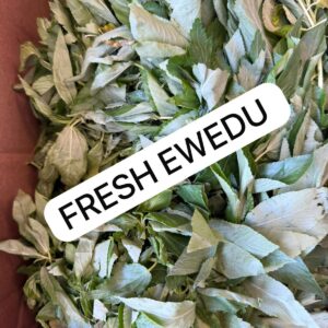 Fresh Ewedu Leaves