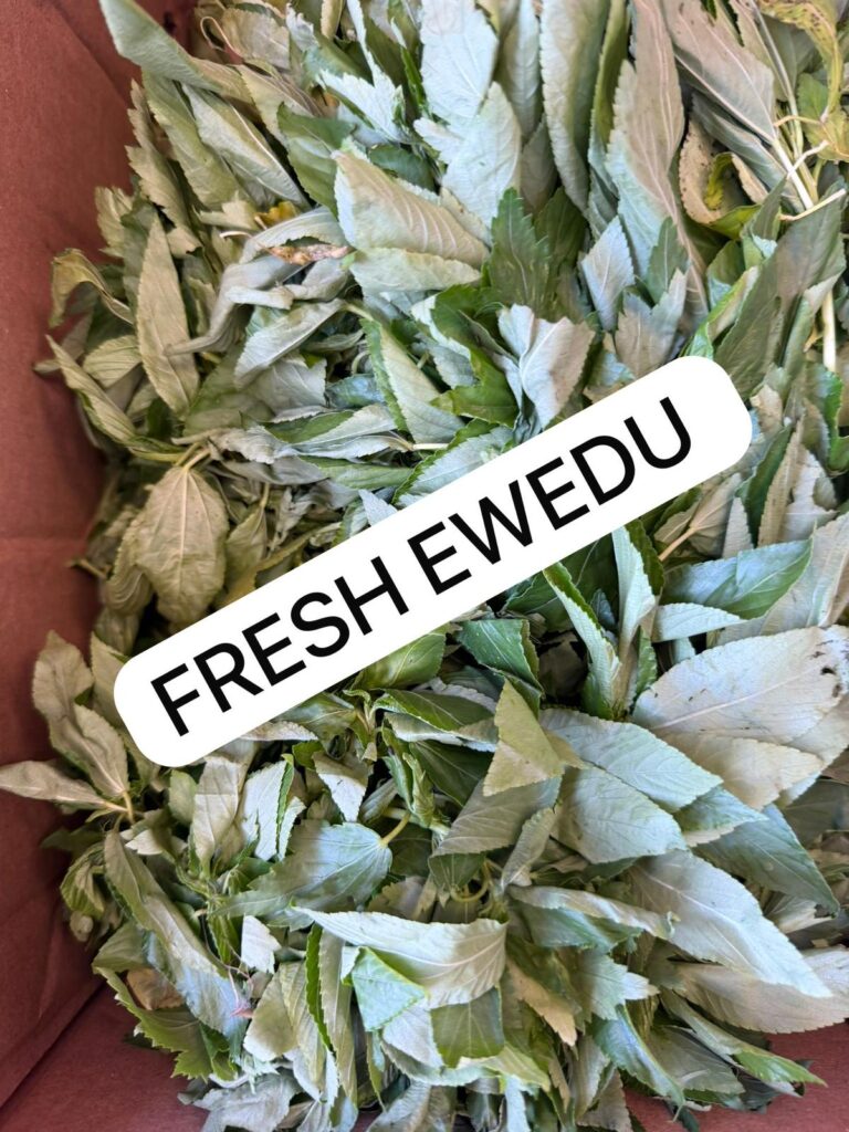 Fresh Ewedu Leaves