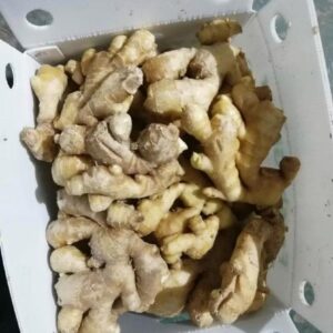 Fresh Ginger Root