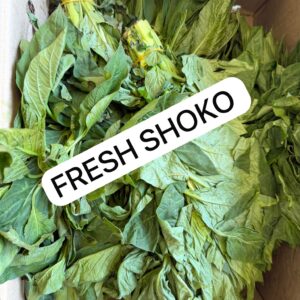 Fresh Shoko Leaves