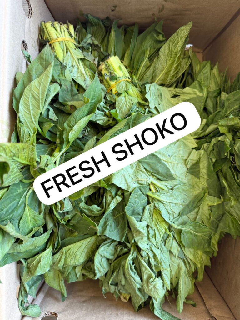 Fresh Shoko Leaves PER BUNCH