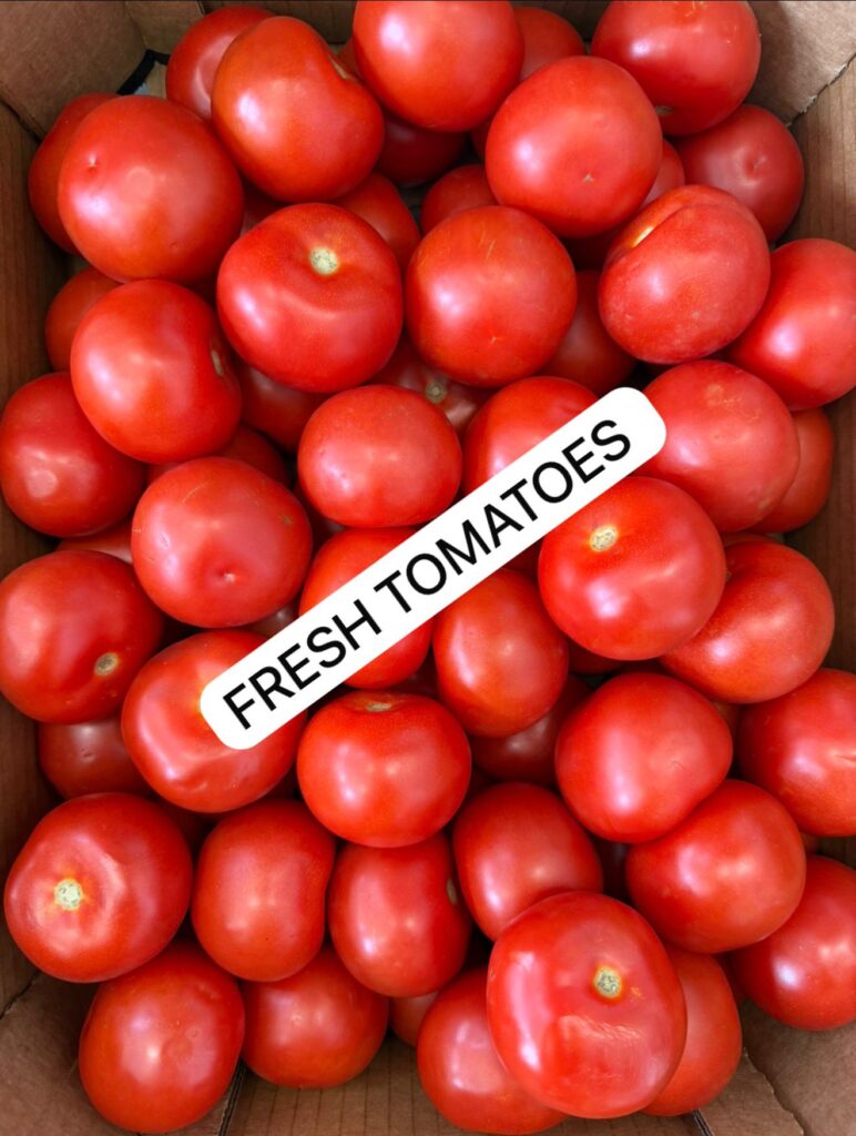 Fresh Tomatoes BOX