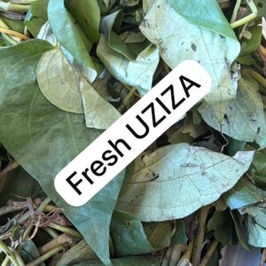 Fresh Uziza Leaves