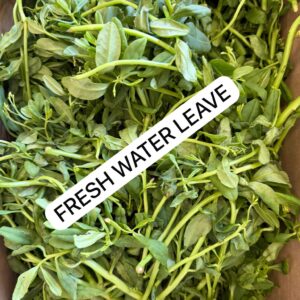Fresh Water Leaves