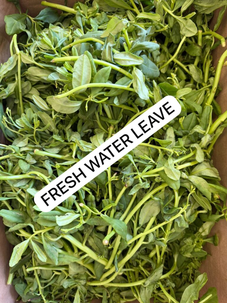 Fresh Water Leaves PER KG