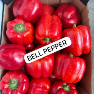 Red Bell Pepper