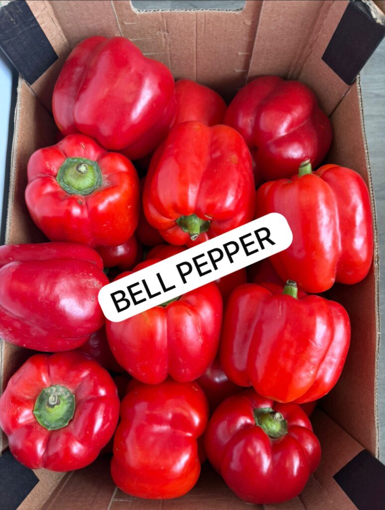 Red Bell Pepper PER BOX  [PER KG 3.99}