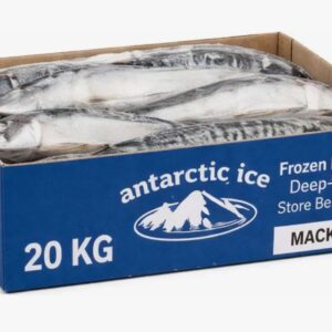 MACKEREL FISH