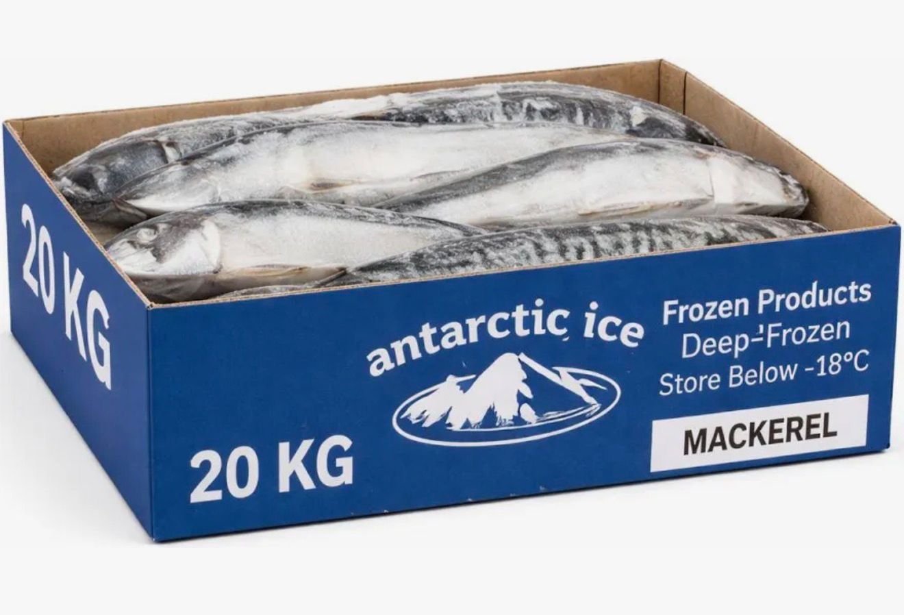 MACKEREL FISH